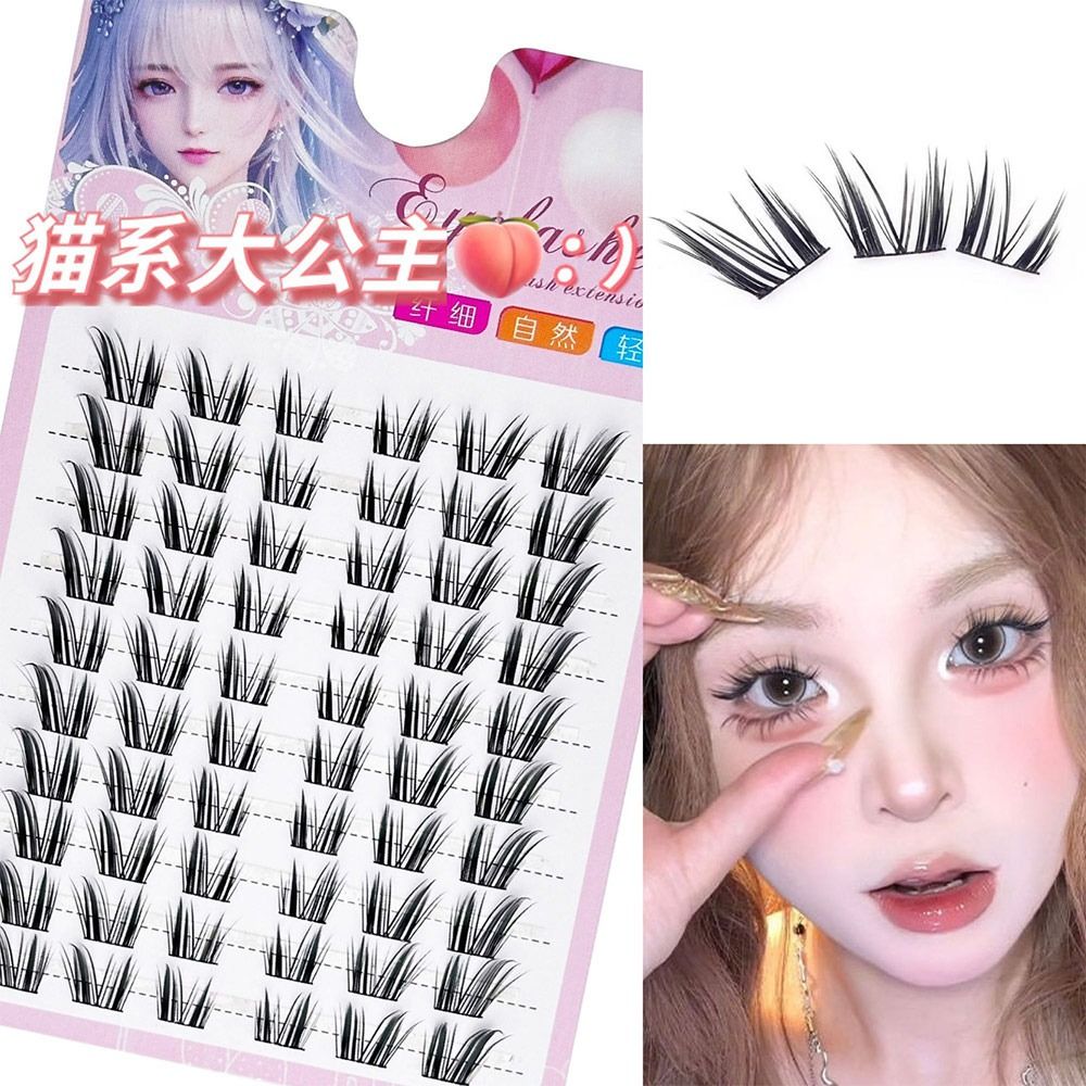 Wiederverwendbare Cat Eye Fair – Eyelash Extension Wet Look Bewertung und Preis