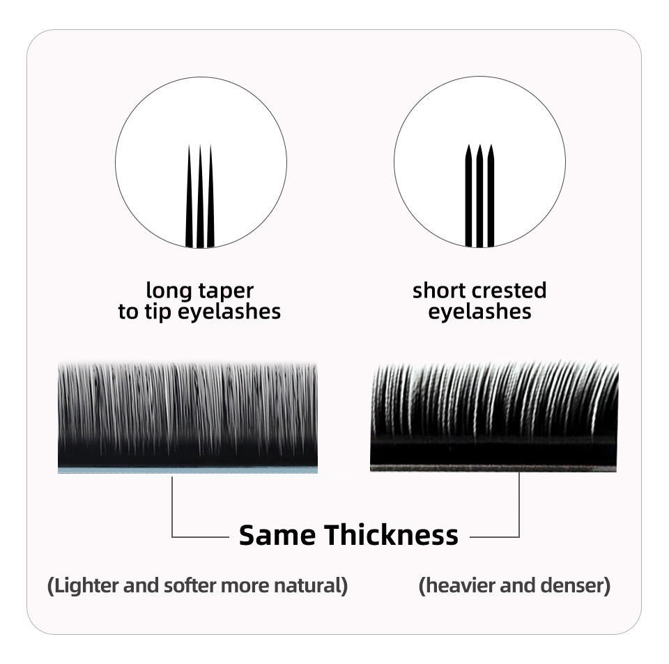 AGUUD J B C D Curl Volumen-Wim – Eyelash Extension Korea Natural Bewertung und Preis