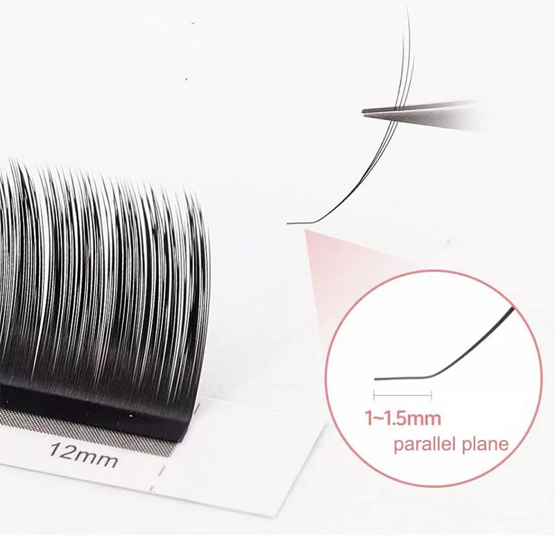 Dream Ballet Camellia Lashes m – Eyelash Extension Russian Volume Bewertung und Preis