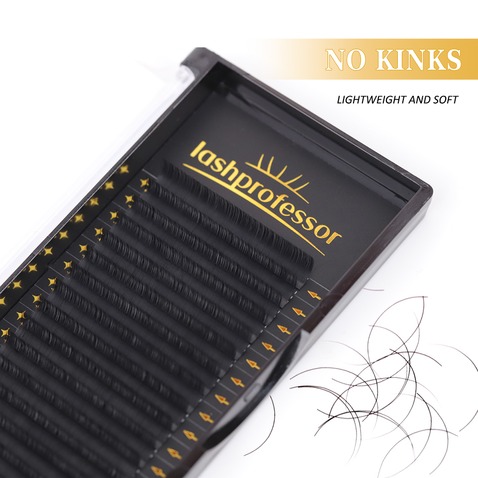 Lashprofessor 10 Kasaları/Lot  – Eyelash Extension Korean Style Bewertung und Preis